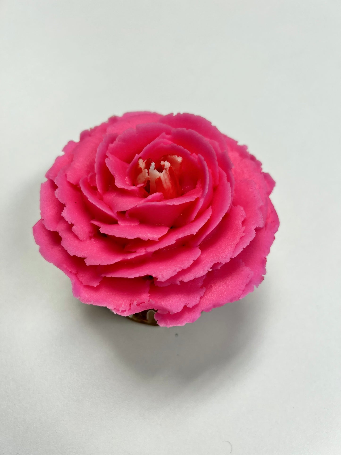 Jumbo Floral- Dozen