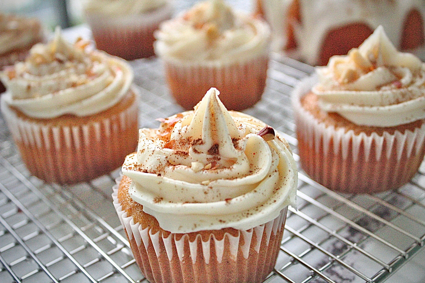 Premium Cupcakes (2 Dozen)